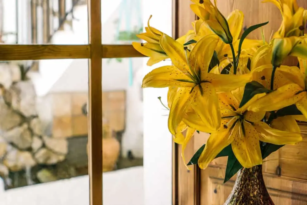 Gele Glazen Vazen – Onze top 3 van 2023! – VERGELIJKING